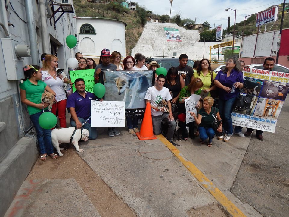 Nogales, primer municipio en Sonora con reglamento para proteger